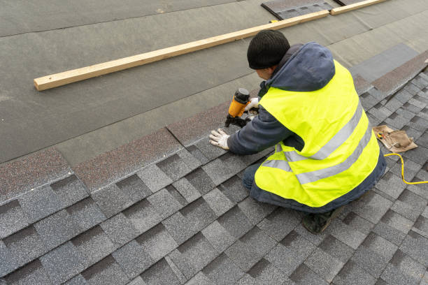 Roof Gutter Cleaning in Mondovi, WI