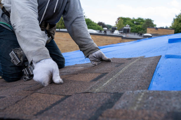 Best Roof Maintenance Services  in Mondovi, WI